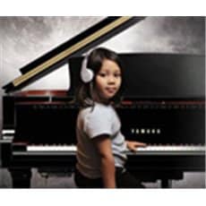 Große Yamaha Silent Piano Umfrage