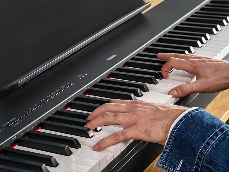 The hands of a person playing the P-223