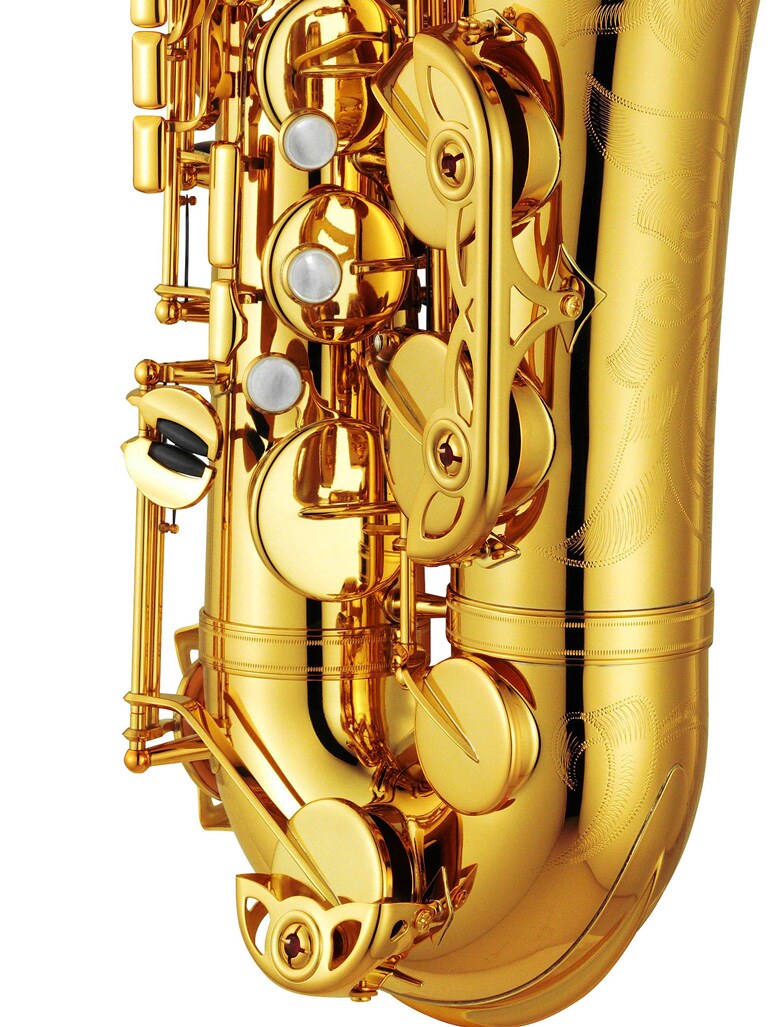 Geteilter Klappenschutz