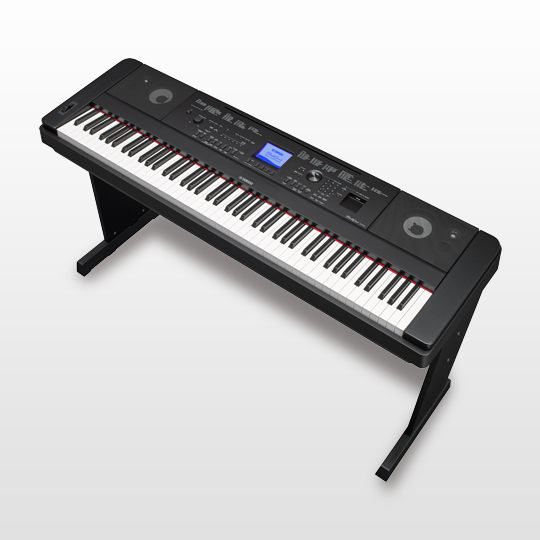 DGX-660 - Zubehör - Portable Grand - Pianos - Musikinstrumente ...