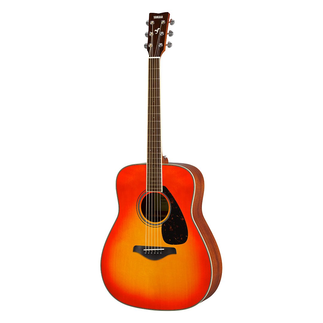 FG / FS800 - Übersicht - FG Series - Westerngitarren - Gitarren 
