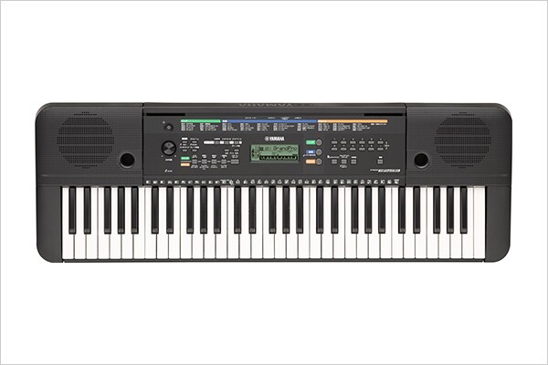 PSR-E253