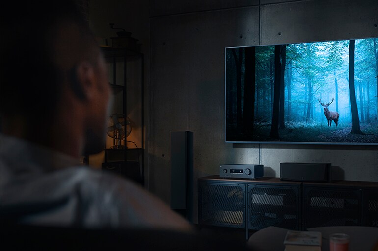 Der RX300A und ein Mann, der vor einem Fernseher mit einem mystischen Waldmotiv sitzt.