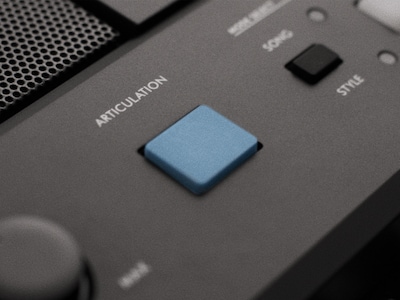 PSR-E483 Hauptbild der ARTICULATION-Taste