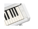 YDP-166_Weiß_Tastatur_rechts