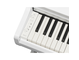 YDP-166_Weiß_Tastatur_links