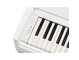 YDP-S56_Weiß_Tastatur_links
