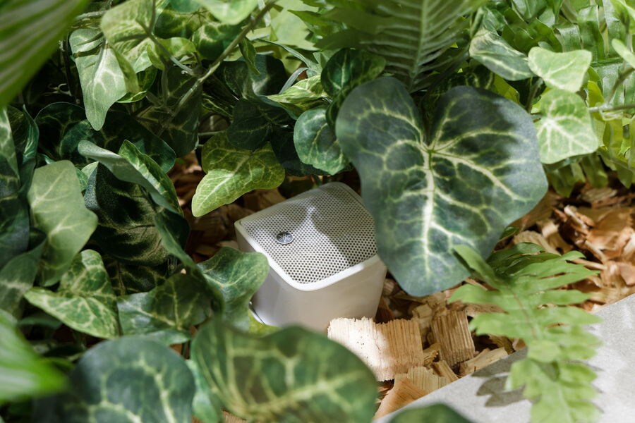 Ultra-compact speaker VXS1MLW installed among plants for sound masking